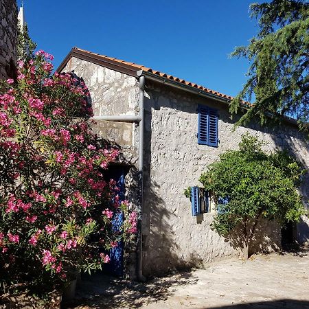 The Istrian Villa Vrsar Exterior foto
